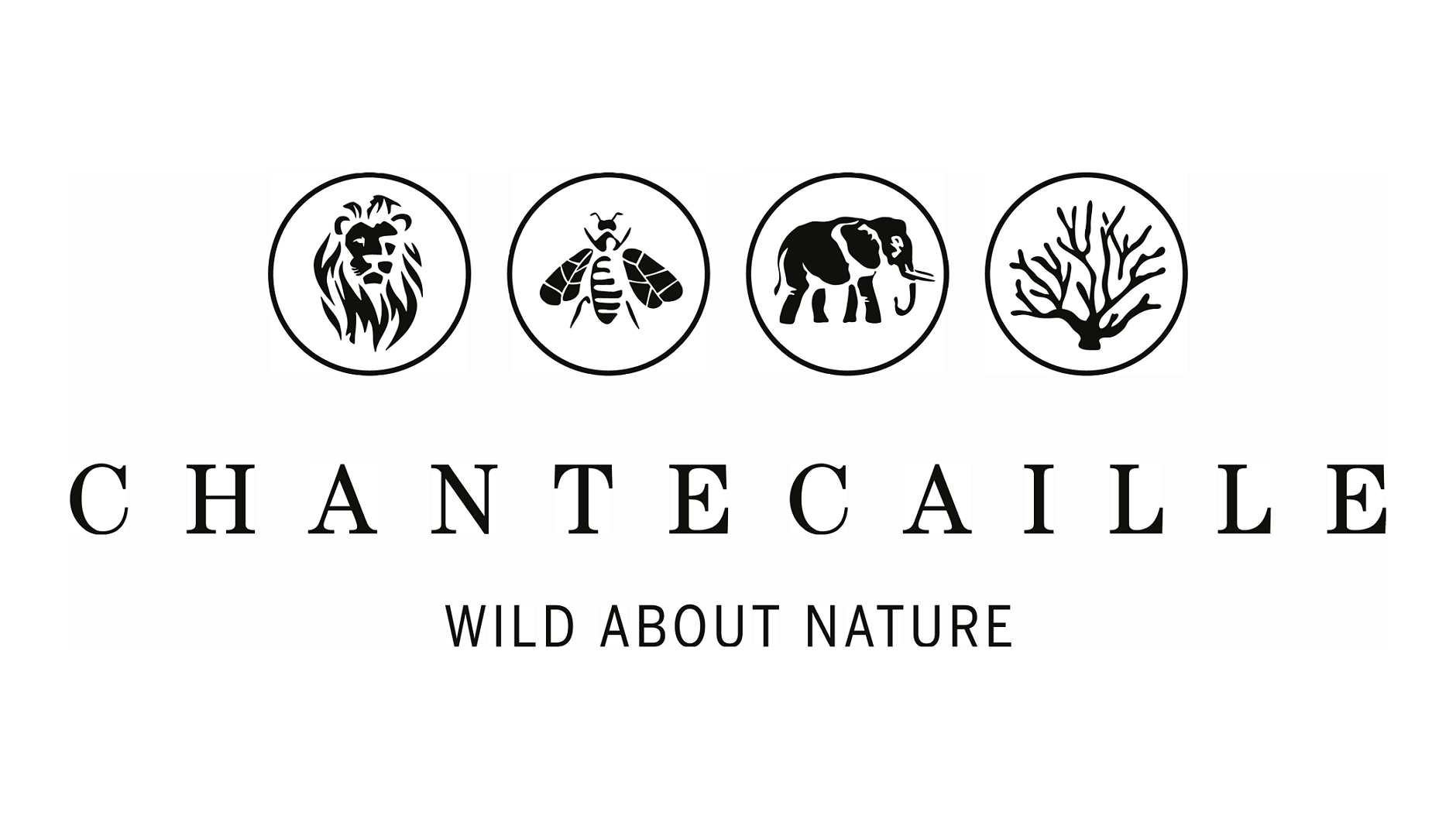 Chantecaille logo teaser