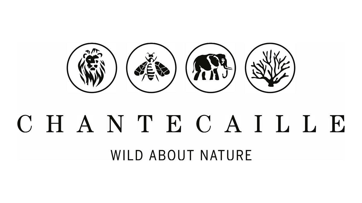 Beiersdorf successfully completes acquisition of Chantecaille Beiersdorf