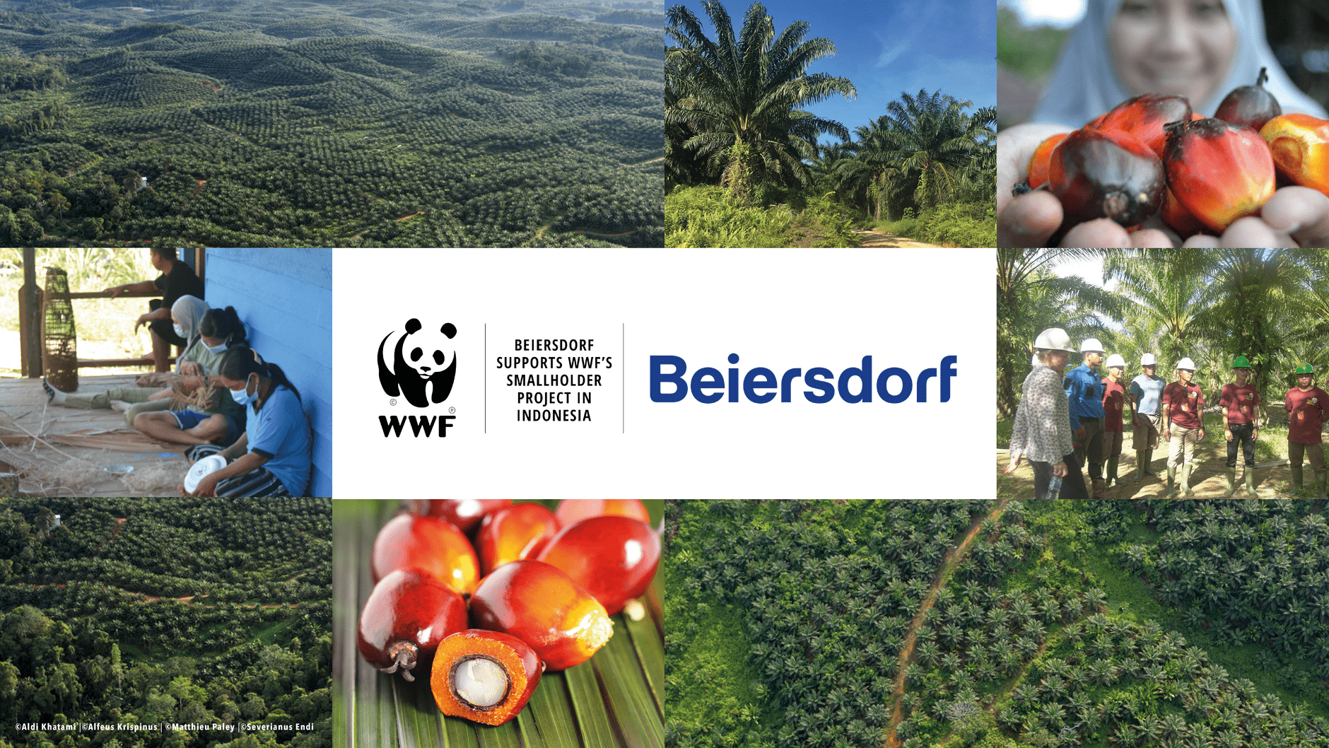 Beiersdorf supports WWF’s smallholder project in Indonesia