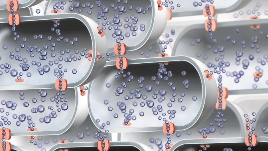Aquaporin