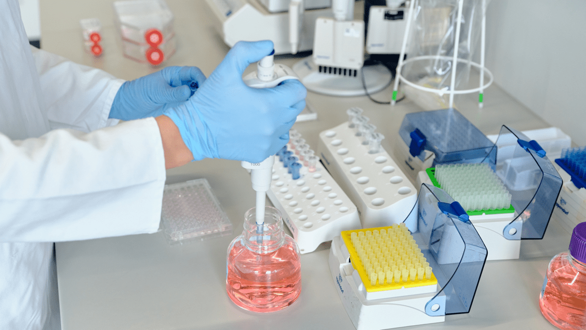 Our Publications Research & Development Beiersdorf