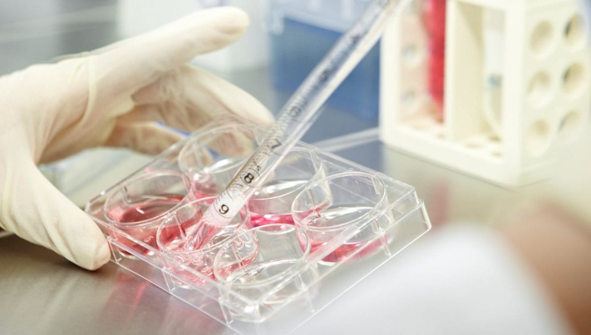 Research for Alternatives to Animal Testing Beiersdorf