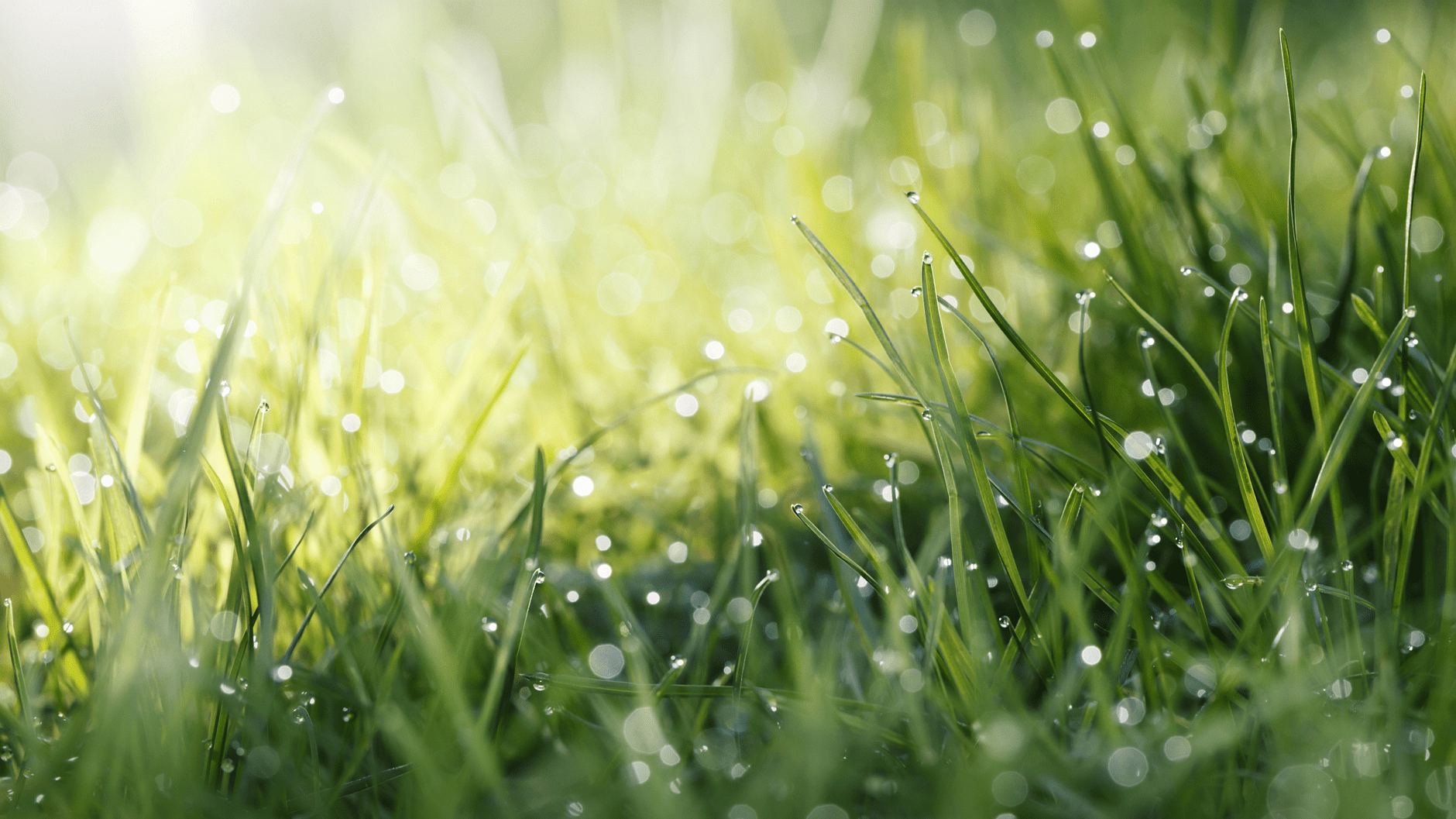 Beiersdorf Environment