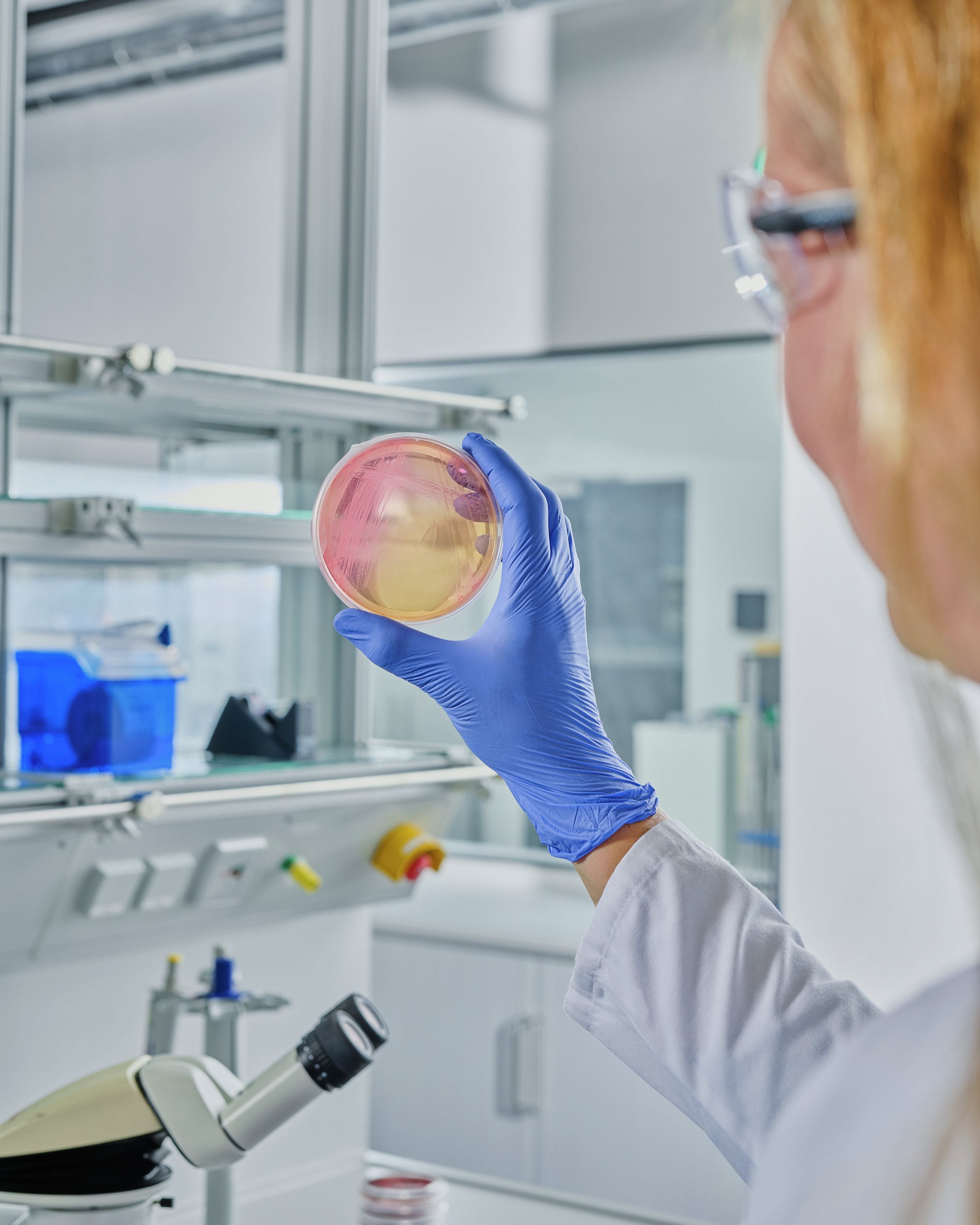 Researcher wearing blue gloves examining a petri dish in a laboratory, with a microscope and scientific equipment visible in the background.