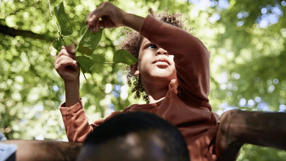 Photo collage Beiersdorf products, tress and a woman with a child Beiersdorf Sustainability