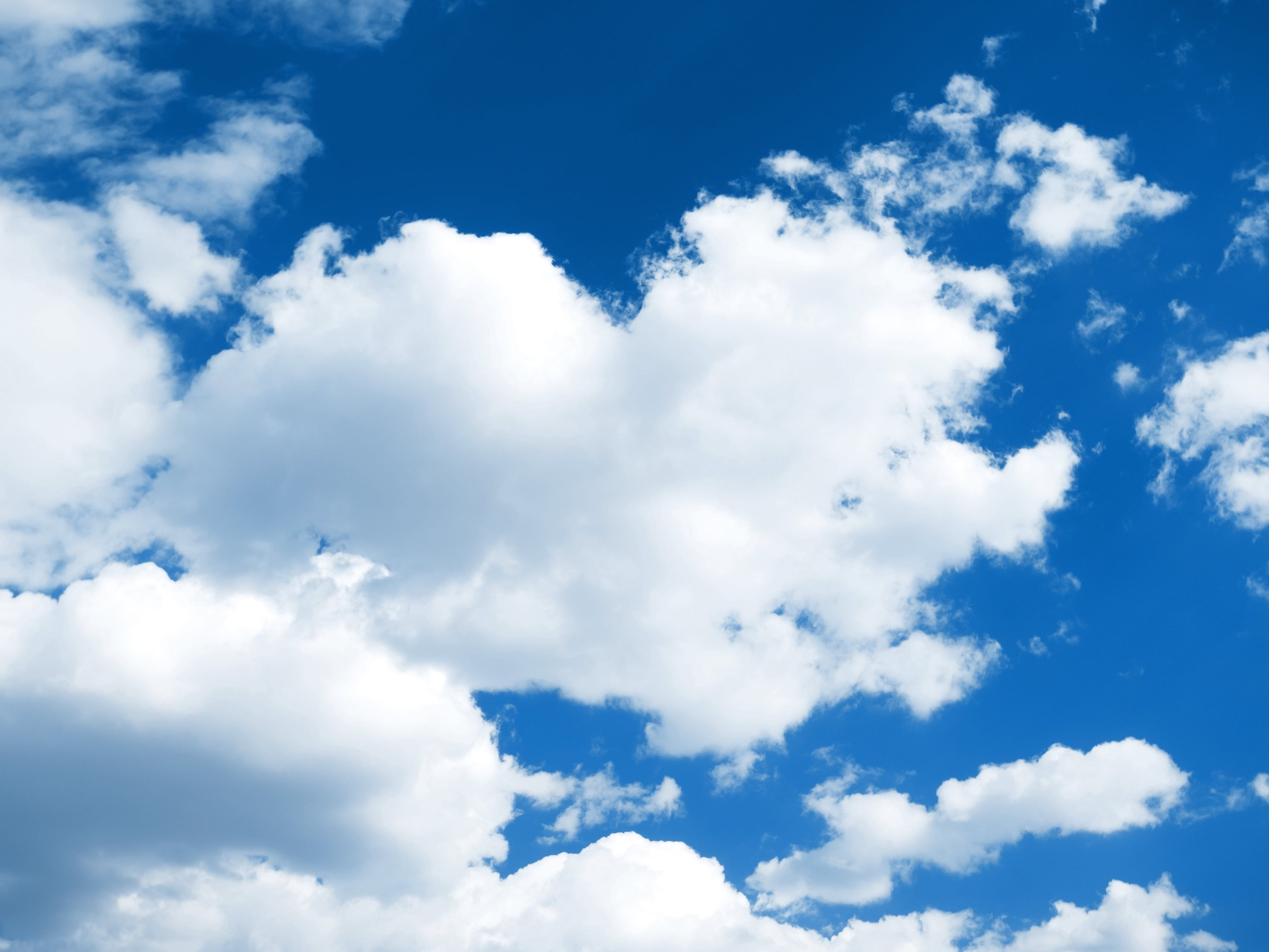 Open book with the title climate transition plan on grey background.