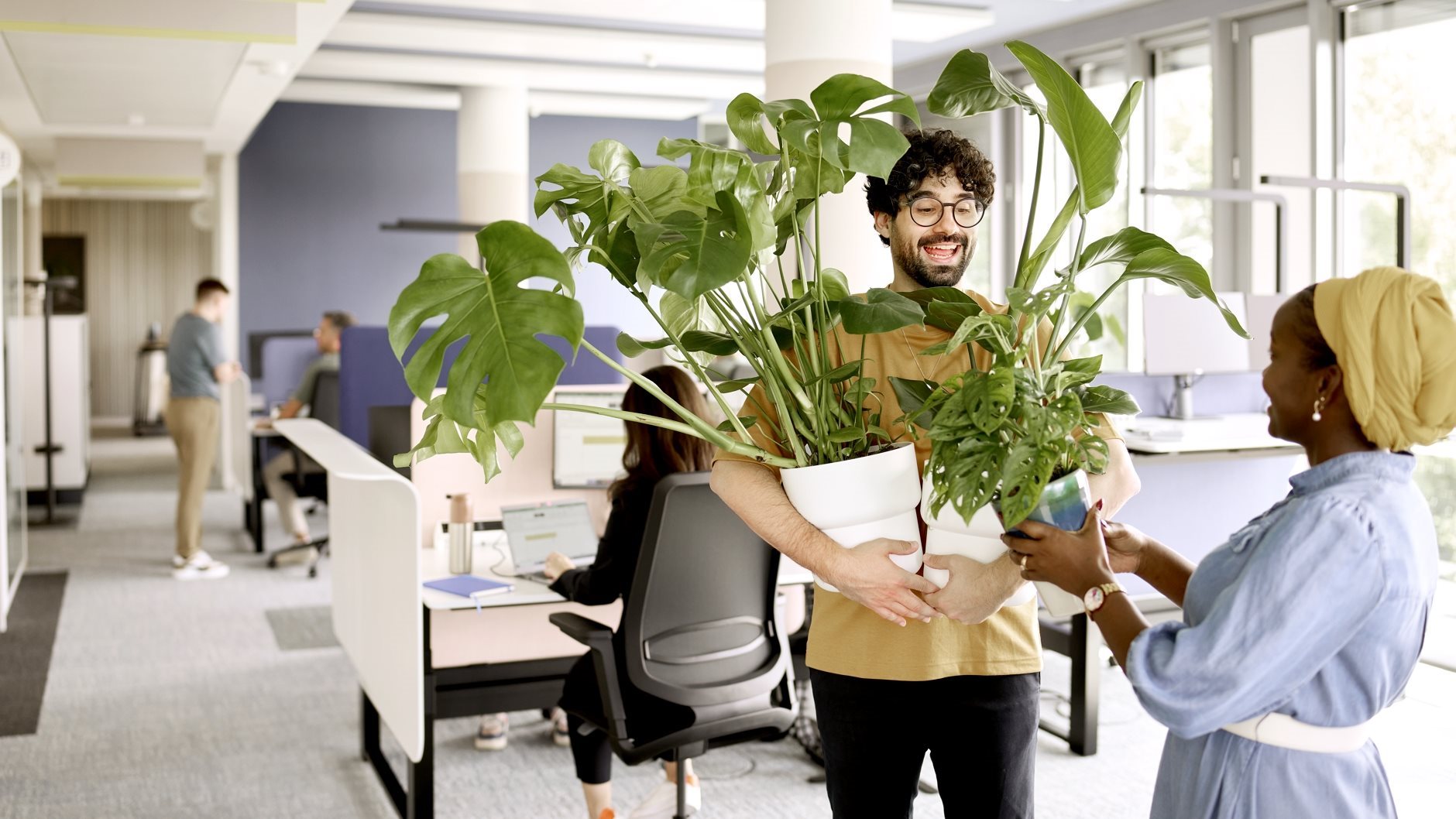Two people indoors in an office setting, smiling while handing over a large potted plant to each other.