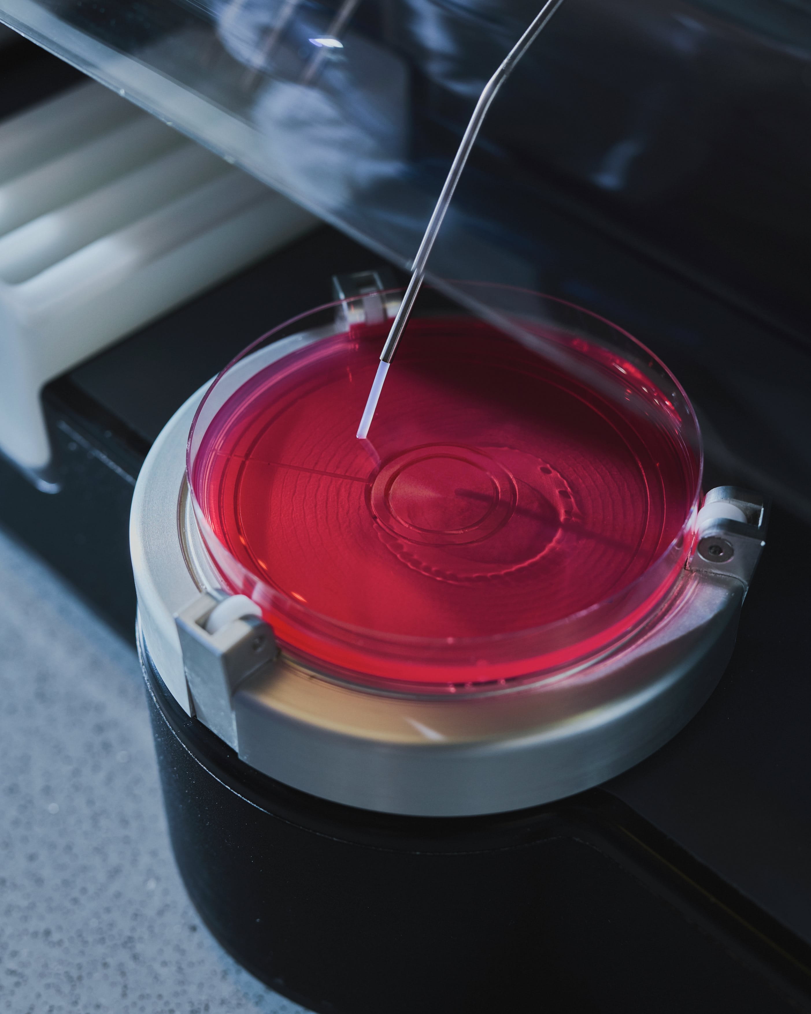 Close-up of a laboratory instrument dispensing liquid into a red solution inside a petri dish, illustrating precise scientific testing or analysis.