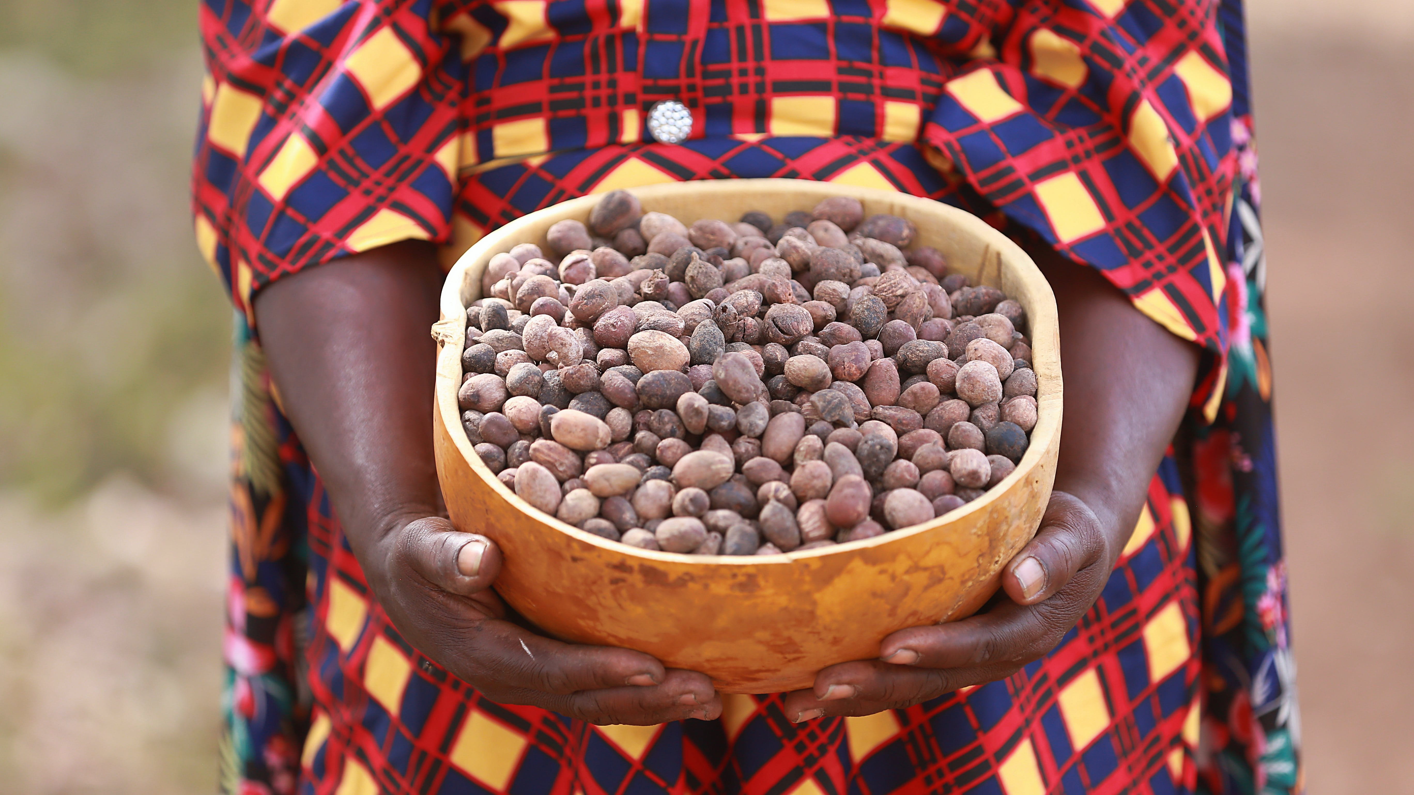 A woman with a dark skin tone can be seen carrying a container on her head. She is walking through a green field with trees scattered in the background. The woman balances the container with skill. She is wearing a vividly patterned dress and has a purple shawl draped over one shoulder.