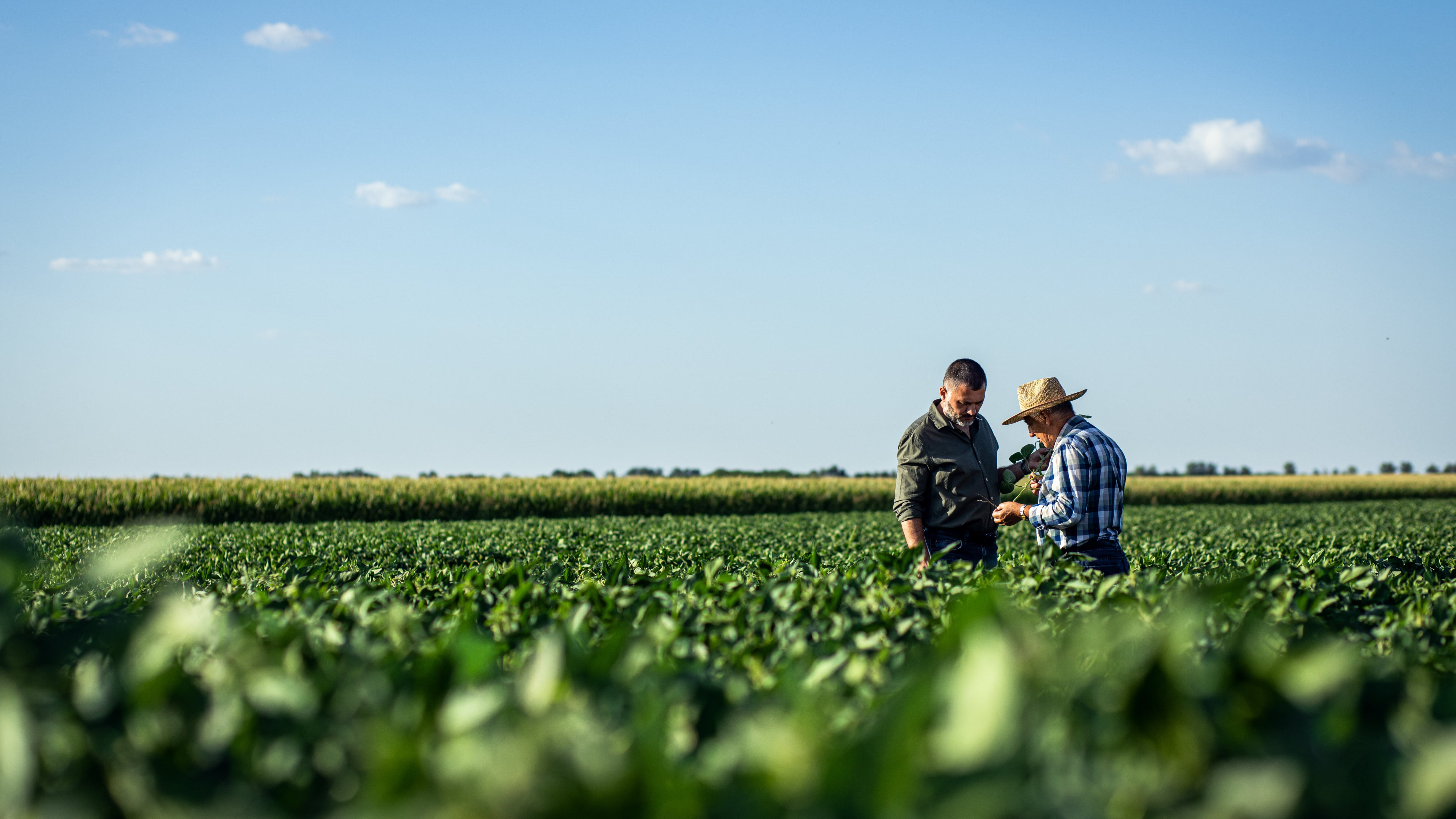 Two people can be seen shaking hands in front of a blurred, sunny background. Only the hands and arms of the people can be seen. The hands are firmly clasped together, indicating a greeting or agreement. The background is illuminated by sunlight and appears to be an outdoor environment with vegetation, although it is blurred and not detailed.
